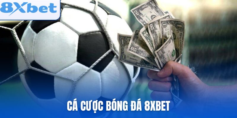 cá cược bóng đá 8xbet