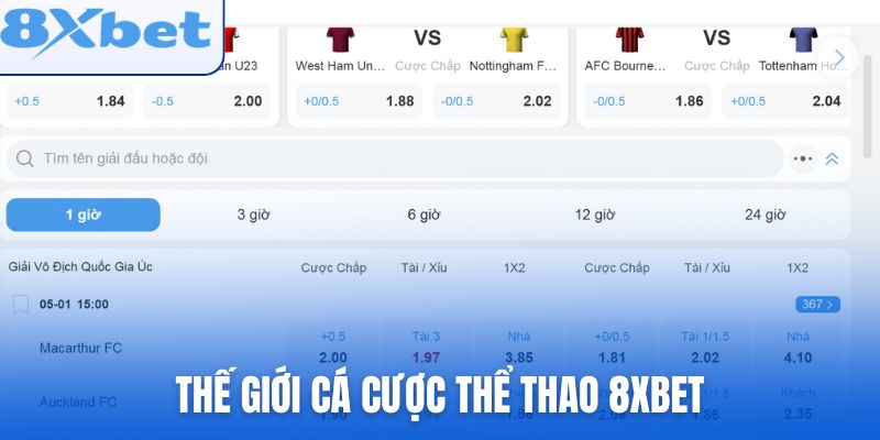Thế giới cá cược thể thao 8xbet cho mọi người