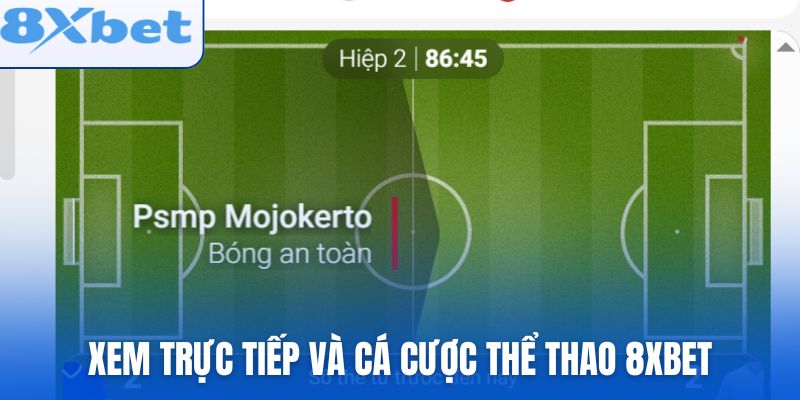 Xem trực tiếp và cá cược thể thao 8xbet mọi lúc
