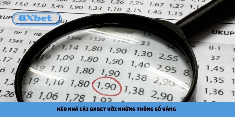 Kèo nhà cái 8xbet với những thông số vàng